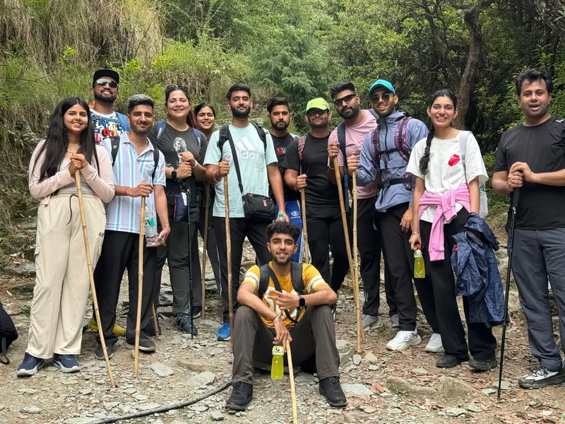 A group of trekkers with walking sticks on a forest trail