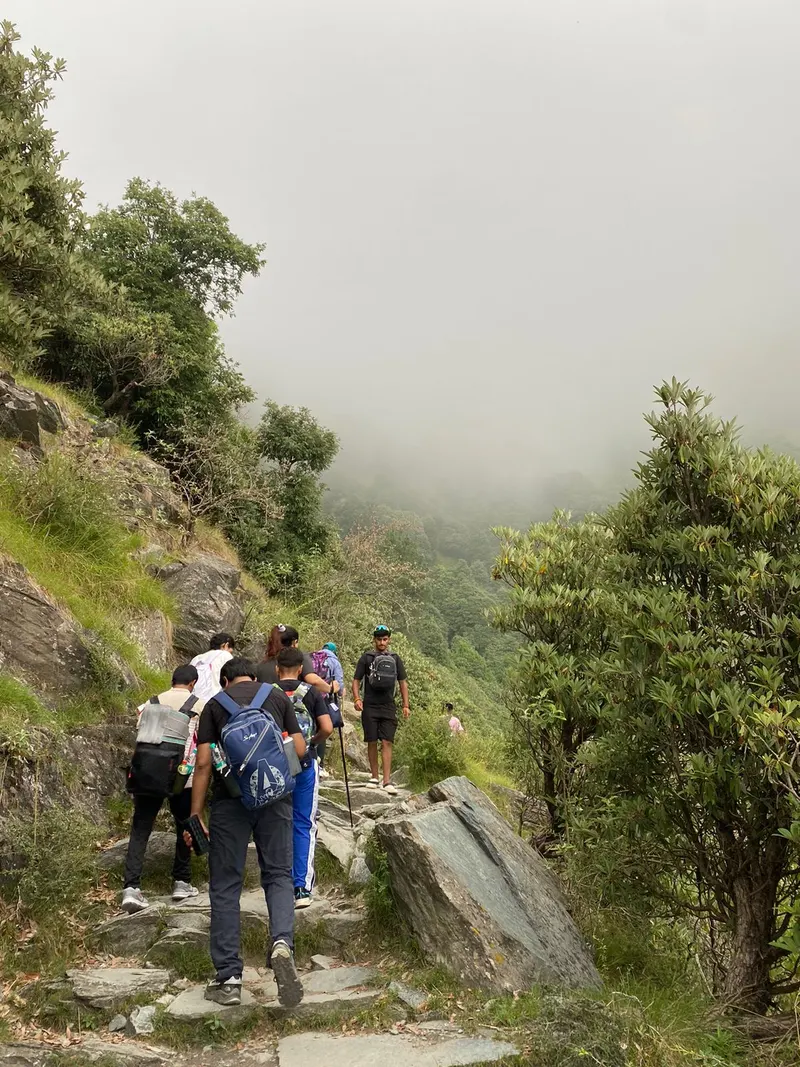 A line of trekkers walking up a rocky trail
