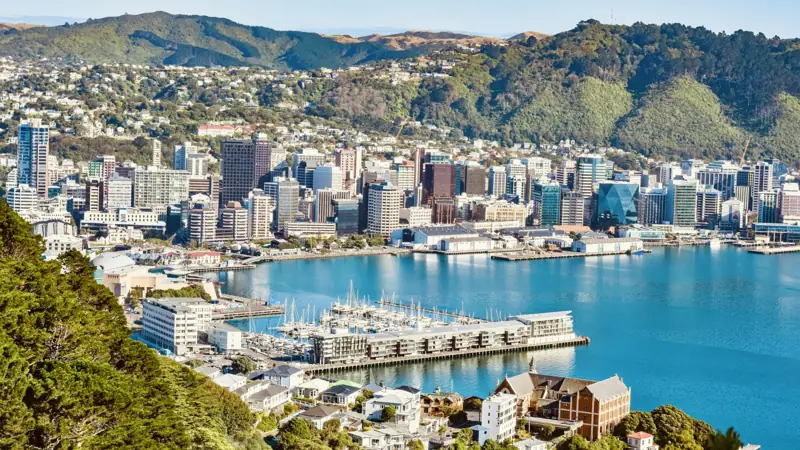 Harbour bordered by city buildings and green hills under clear skies