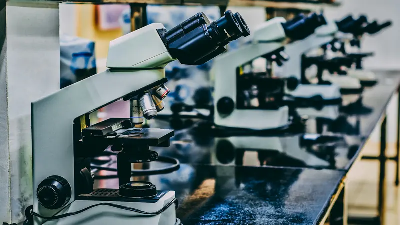 Several microscopes arranged along a laboratory bench beside a window