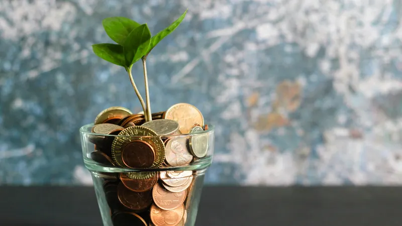 Green seedling growing above coins collected in a clear glass