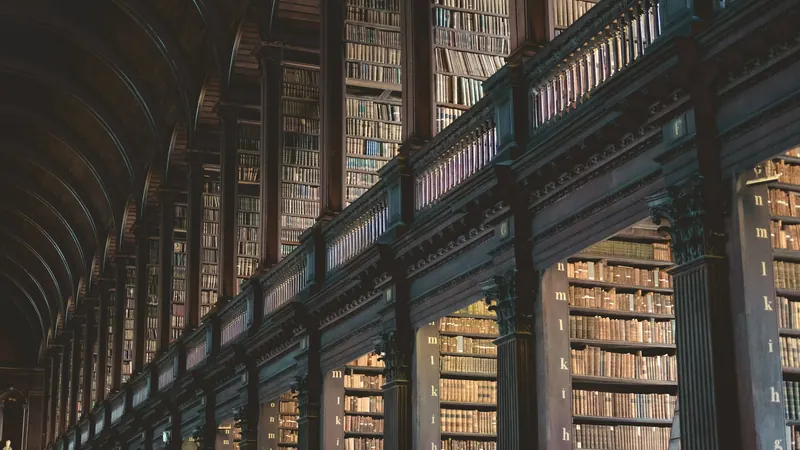 Tall wooden library shelves beneath windows overlooking more bookcases below