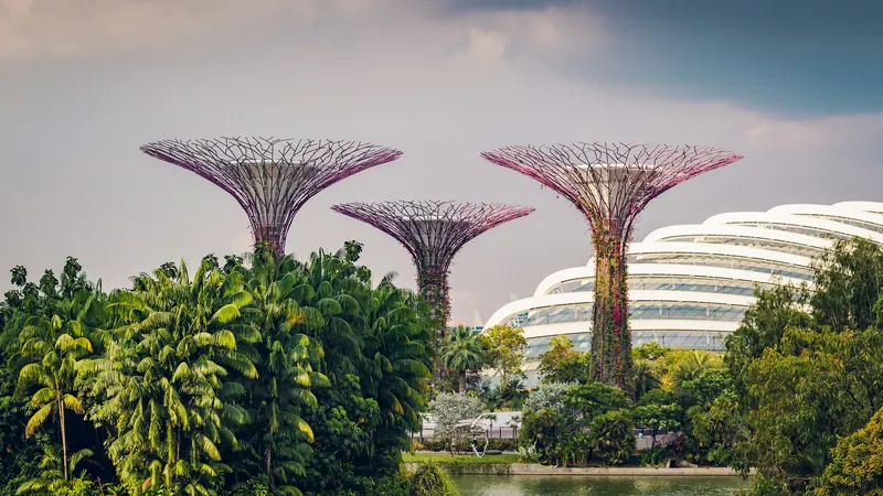 Tall branching garden structures rising above green trees beneath cloudy skies